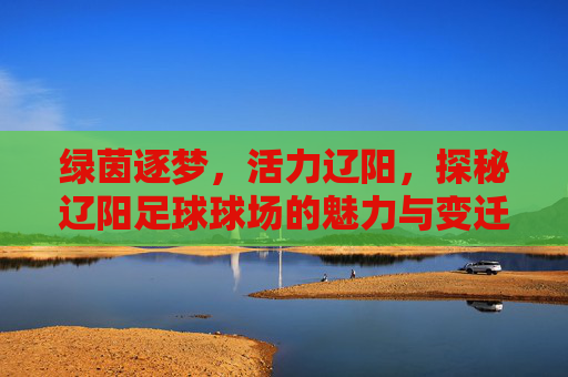 绿茵逐梦,活力辽阳,探秘辽阳足球球场的魅力与变迁