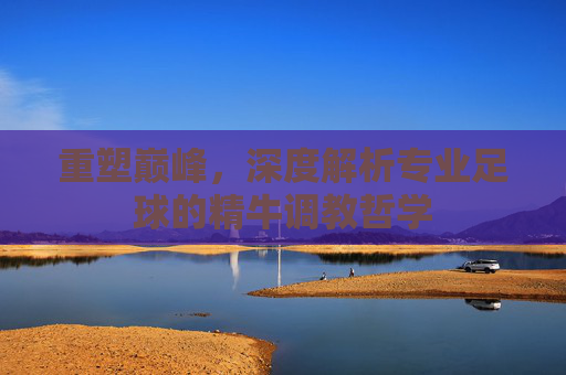 重塑巅峰,深度解析专业足球的精牛调教哲学