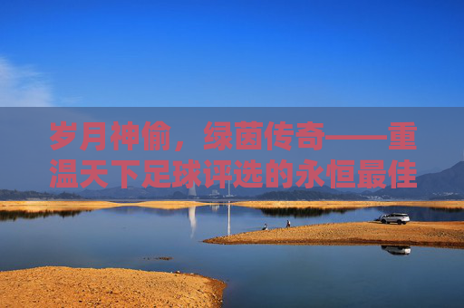 岁月神偷,绿茵传奇——重温天下足球评选的永恒最佳阵容