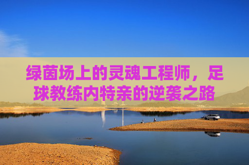 绿茵场上的灵魂工程师,足球教练内特亲的逆袭之路