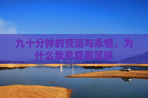 九十分钟的荒诞与永恒,为什么我总爱看足球