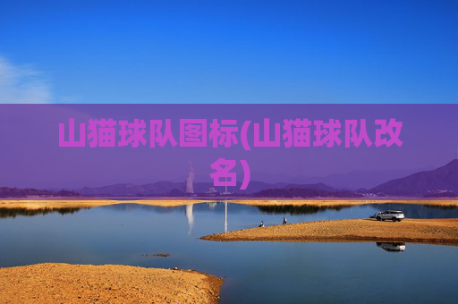 山猫球队图标(山猫球队改名)