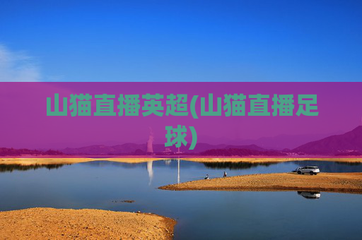 山猫直播英超(山猫直播足球)
