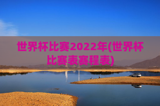 世界杯比赛2022年(世界杯比赛表赛程表)