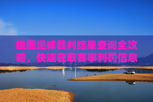 雄鹿足球裁判结果查询全攻略,快速获取赛事判罚信息
