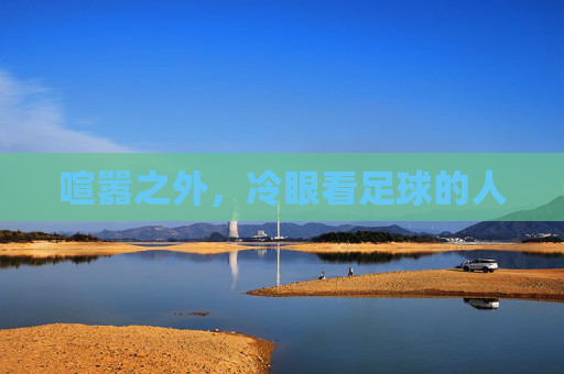 喧嚣之外,冷眼看足球的人