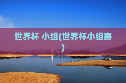 世界杯 小组(世界杯小组赛)