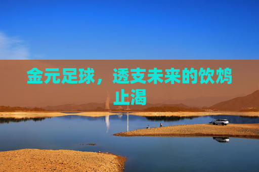 金元足球,透支未来的饮鸩止渴