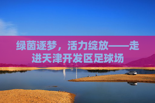 绿茵逐梦,活力绽放——走进天津开发区足球场