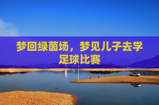 梦回绿茵场,梦见儿子去学足球比赛