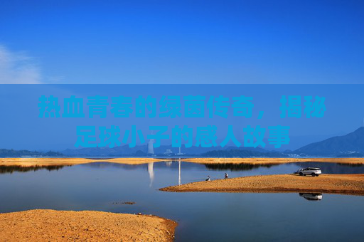 热血青春的绿茵传奇,揭秘足球小子的感人故事