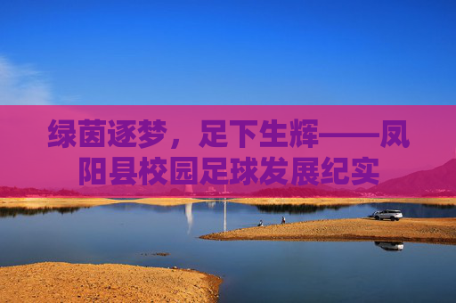 绿茵逐梦,足下生辉——凤阳县校园足球发展纪实
