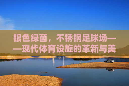 银色绿茵，不锈钢足球场——现代体育设施的革新与美学