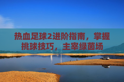 热血足球2进阶指南,掌握挑球技巧,主宰绿茵场