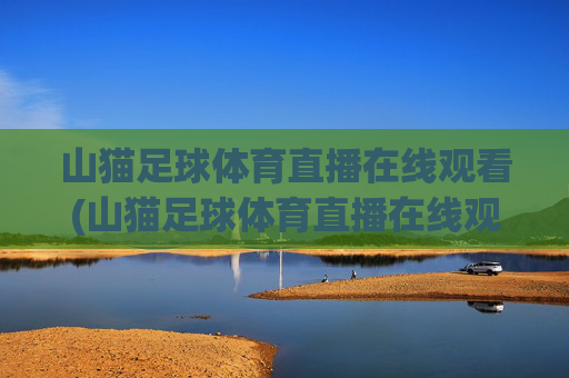 山猫足球体育直播在线观看(山猫足球体育直播在线观看高清)