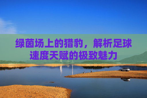 绿茵场上的猎豹，解析足球速度天赋的极致魅力