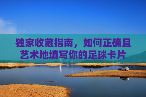 独家收藏指南,如何正确且艺术地填写你的足球卡片