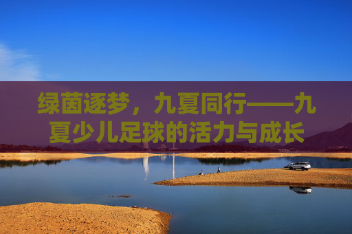 绿茵逐梦,九夏同行——九夏少儿足球的活力与成长