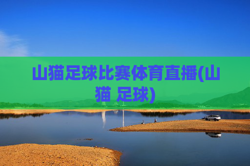 山猫足球比赛体育直播(山猫 足球)