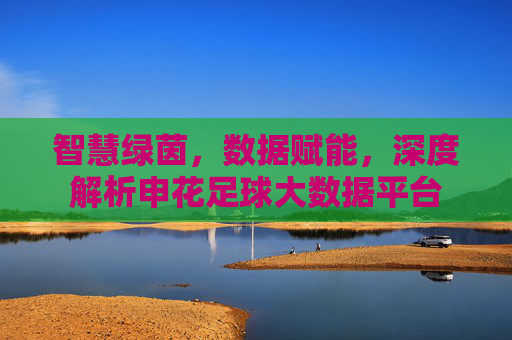 智慧绿茵,数据赋能,深度解析申花足球大数据平台