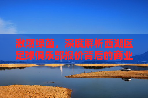 激荡绿茵，深度解析西湖区足球俱乐部报价背后的商业逻辑与投资价值