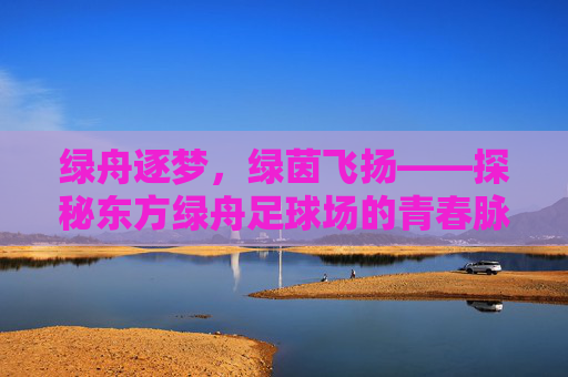 绿舟逐梦,绿茵飞扬——探秘东方绿舟足球场的青春脉搏