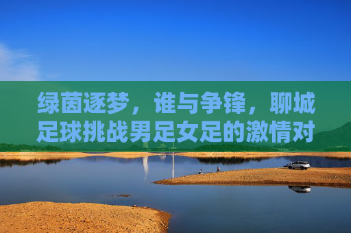 绿茵逐梦,谁与争锋,聊城足球挑战男足女足的激情对决