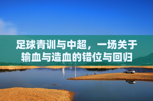 足球青训与中超，一场关于输血与造血的错位与回归