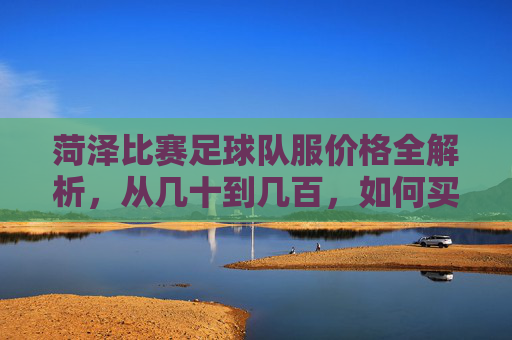 菏泽比赛足球队服价格全解析,从几十到几百,如何买到高性价比装备?
