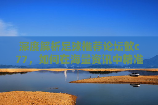 深度解析足球推荐论坛歆c77,如何在海量资讯中精准捕捉胜机?