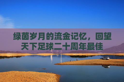 绿茵岁月的流金记忆,回望天下足球二十周年最佳