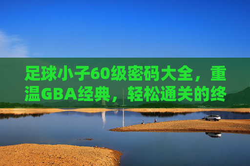 足球小子60级密码大全,重温GBA经典,轻松通关的终极秘籍