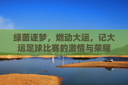 绿茵逐梦,燃动大运,记大运足球比赛的激情与荣耀