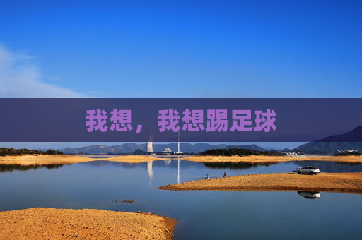 我想,我想踢足球