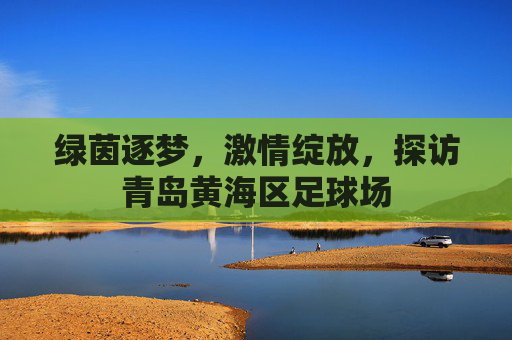 绿茵逐梦,激情绽放,探访青岛黄海区足球场