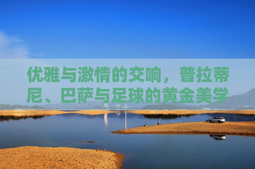 优雅与激情的交响,普拉蒂尼、巴萨与足球的黄金美学