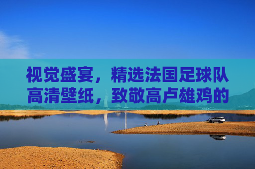 视觉盛宴,精选法国足球队高清壁纸,致敬高卢雄鸡的荣耀时刻