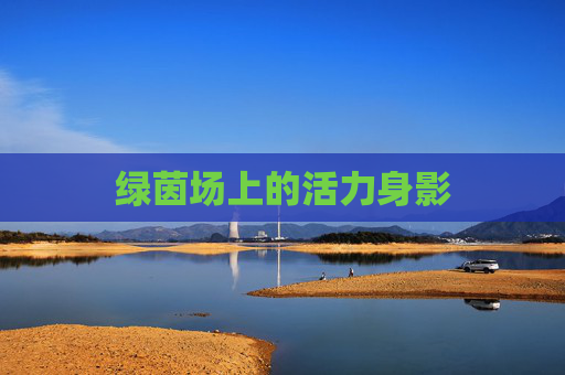 绿茵场上的活力身影