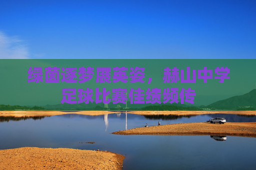 绿茵逐梦展英姿,赫山中学足球比赛佳绩频传