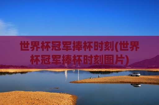 世界杯冠军捧杯时刻(世界杯冠军捧杯时刻图片)