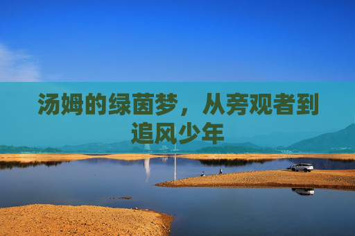 汤姆的绿茵梦，从旁观者到追风少年