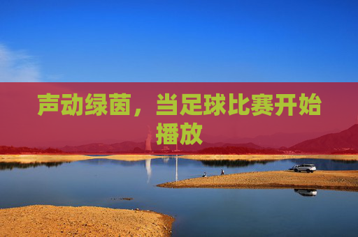 声动绿茵,当足球比赛开始播放