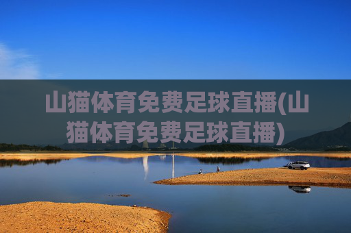 山猫体育免费足球直播(山猫体育免费足球直播)
