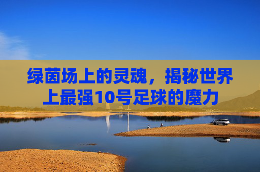 绿茵场上的灵魂，揭秘世界上最强10号足球的魔力