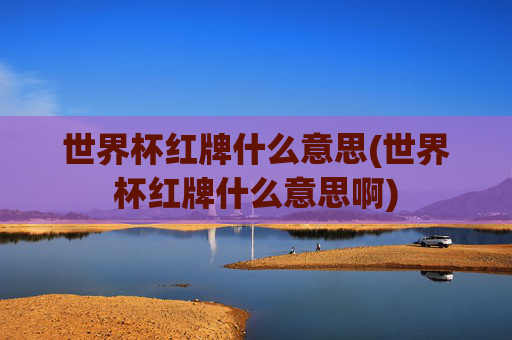 世界杯红牌什么意思(世界杯红牌什么意思啊)