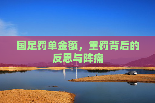 国足罚单金额,重罚背后的反思与阵痛