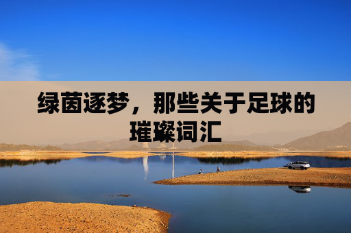 绿茵逐梦,那些关于足球的璀璨词汇