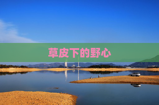 草皮下的野心