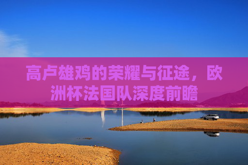 高卢雄鸡的荣耀与征途,欧洲杯法国队深度前瞻