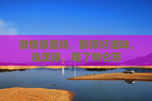 激情绿茵场,醇厚好滋味,说足球,喝了特仑苏